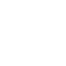 Icon brain
